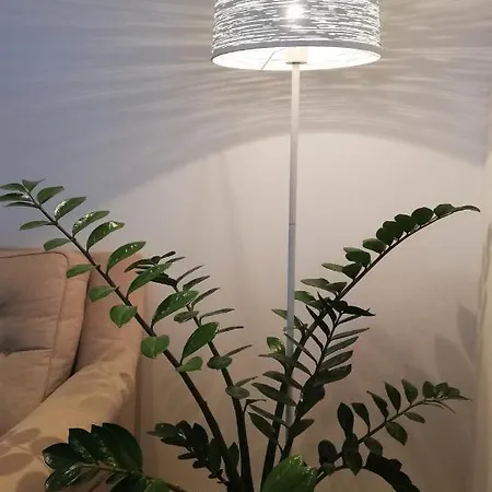 Apartman Divna Τρέμπινιε